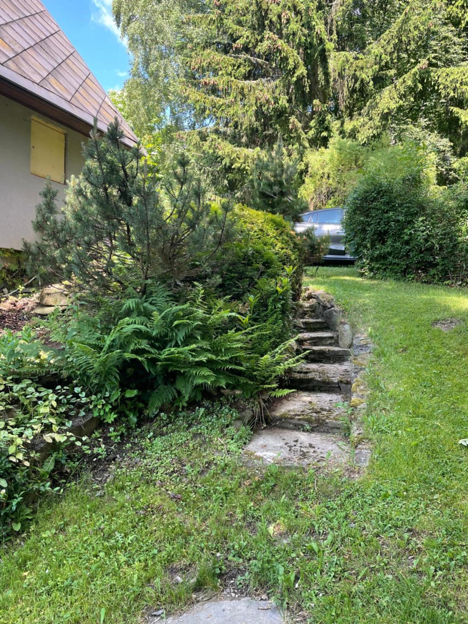 Rekreacni Horska Chata Na Nove Vsi 90 Dolní Moravice Extérieur photo