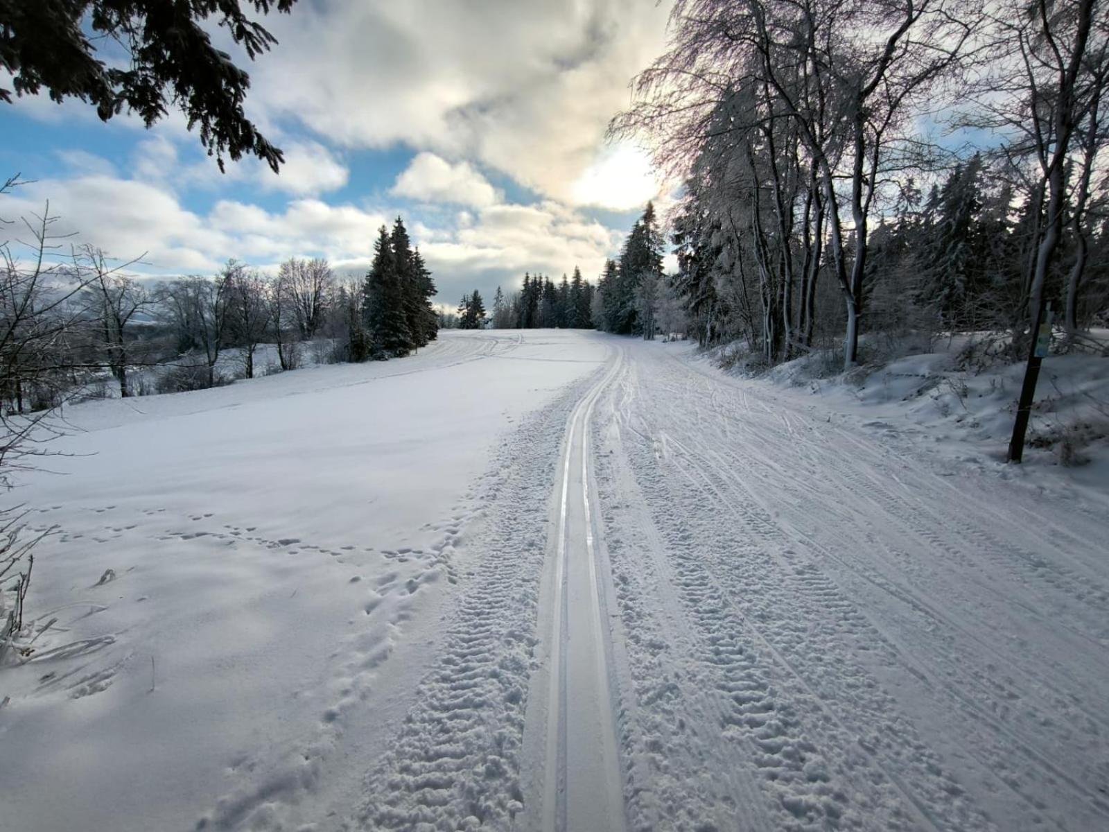 Rekreacni Horska Chata Na Nove Vsi 90 Dolní Moravice Extérieur photo